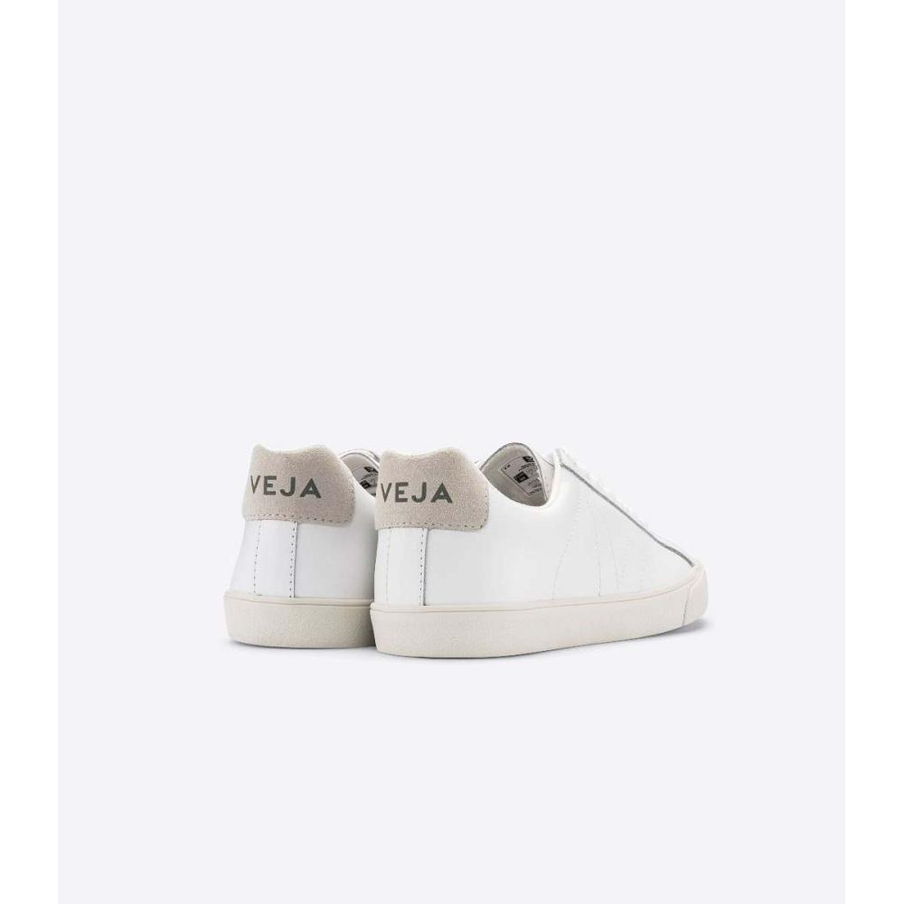 Veja ESPLAR LEATHER Tenisky Damske White/Beige | SK 621HAP